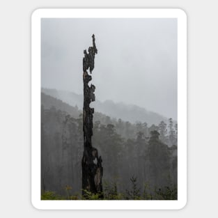 Bushfire Ravaged Tree in the Yarra Ranges Sticker